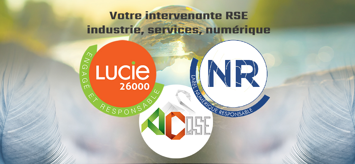 Découvrez nos interventions en développement durable : RSE et Label Numérique Responsable